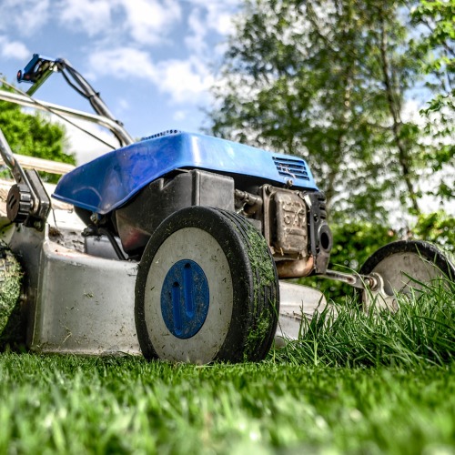 Auswertung Gartenbegehung&nbsp;