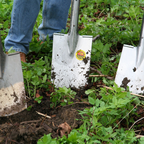 Gemeinschaftsarbeit G&auml;rten 052-081 und Gartenbegehung